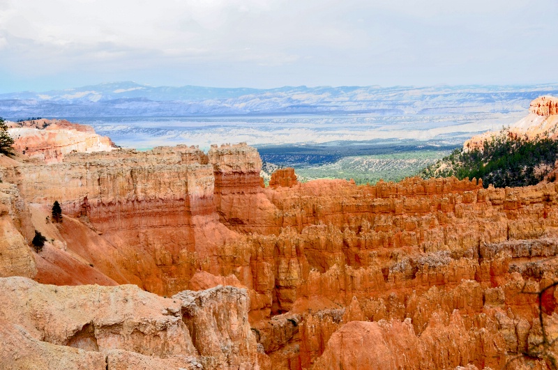 BEAUTIFUL VIEW OVERLOOKING BRYCE POINT. - ID: 8583622 © SHIRLEY MARGUERITE W. BENNETT