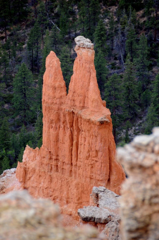 HOO DOO IN BRYCE CANYON - ID: 8583625 © SHIRLEY MARGUERITE W. BENNETT