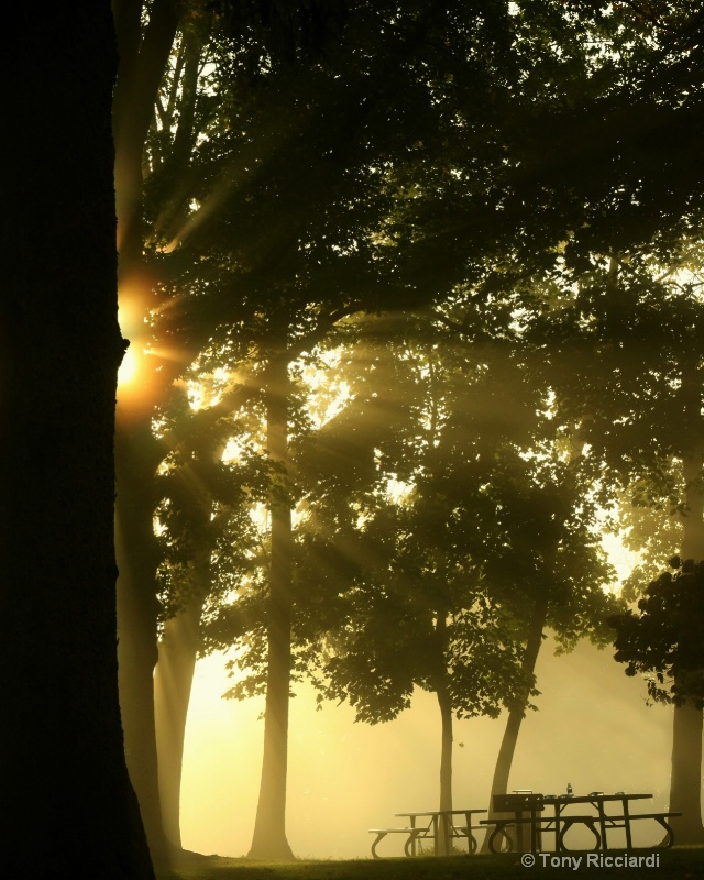 13 misty morning sunrise 2