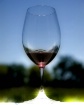 23 wineglass