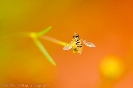 Ready For Take-off