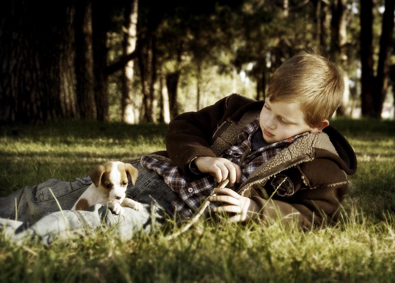 ~Puppies in the Wood~