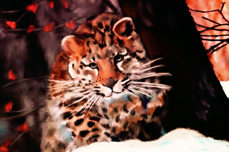 Leopard in Snow