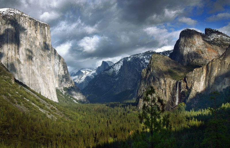 Deer Spirit on El Capitan - ID: 8601586 © Patricia A. Casey