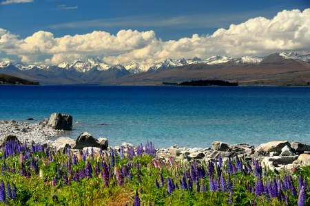 The Southern Alps and Lake Tekapo in Spring