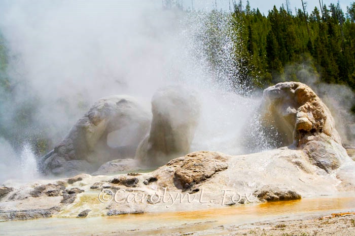 Glimpes of Yellowstone