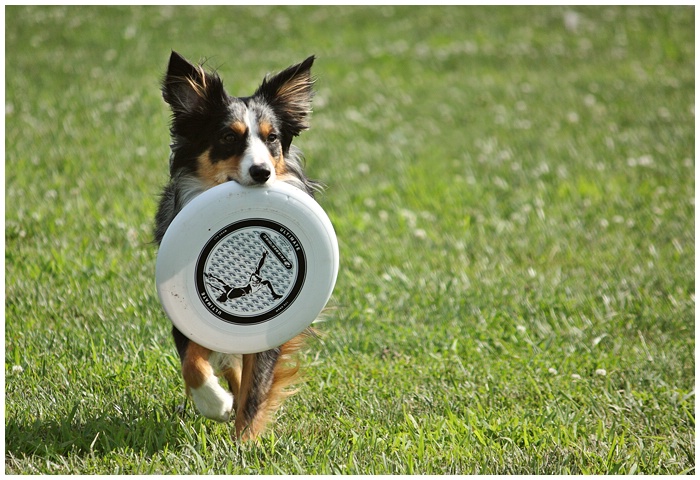 Yes! Frisbee is Fun