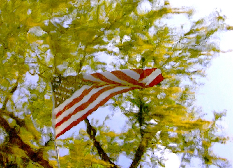 Reflection of Old GLory