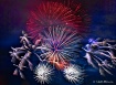 Happy 4th of July...