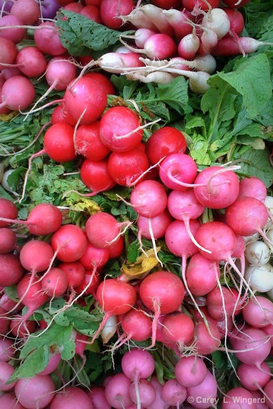 A Case Of The Radishes