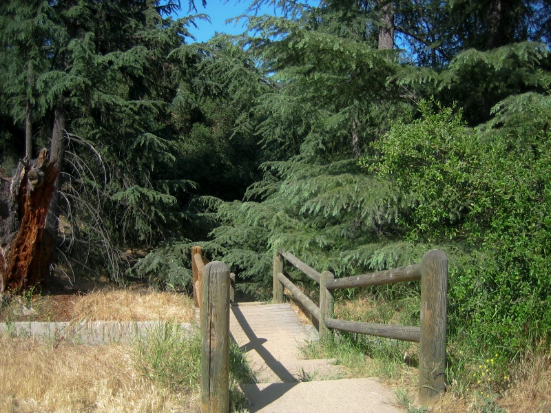 Franklin Canyon Walkway
