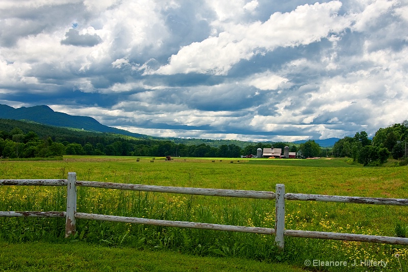 Vermont Field