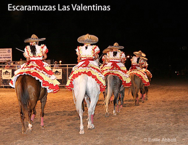 Farewell to Escaramauza Las Valentinas - ID: 8619763 © Emile Abbott