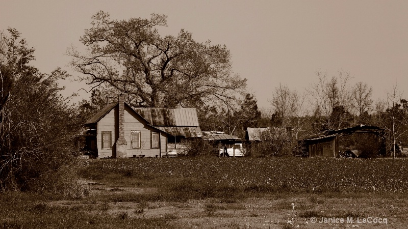 Homestead Duotone - ID: 8626103 © Janice M. LeCocq