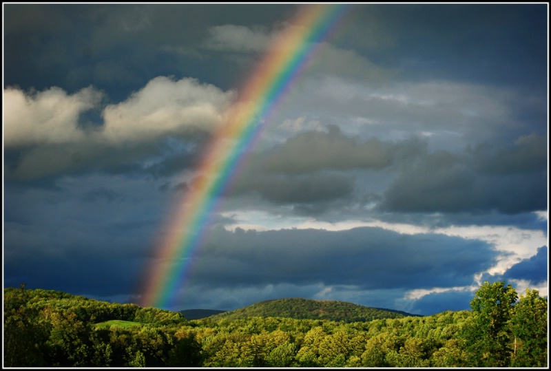 Yesterday's Rainbow