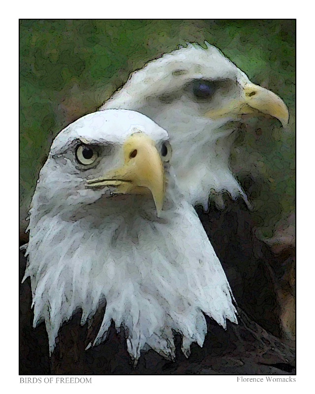 Birds of Freedom