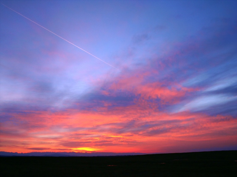 Contrail Sunrise