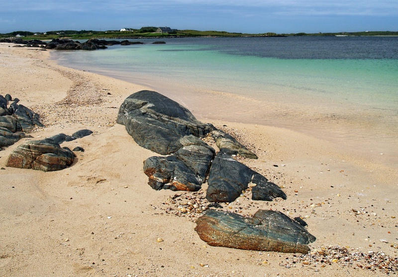 Coral beach