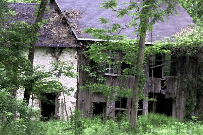 abandoned house 2