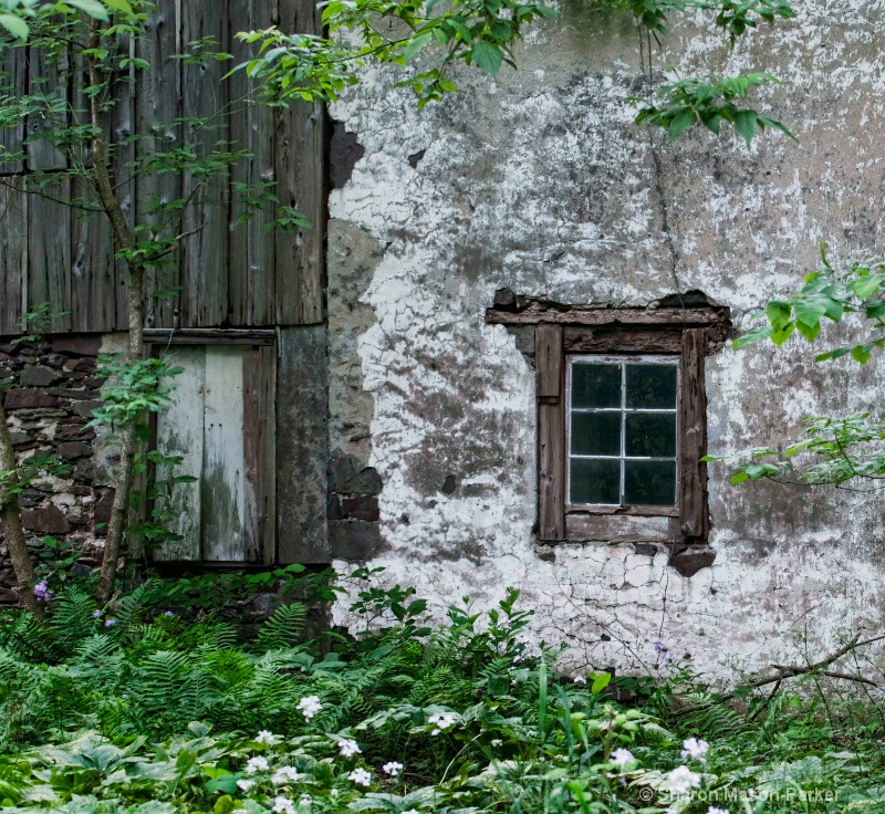 abandoned house 3