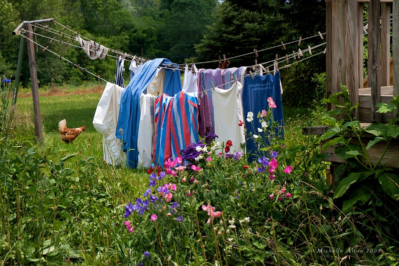 Laundry Day at the Farm