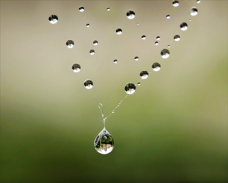 A Drop of Faith