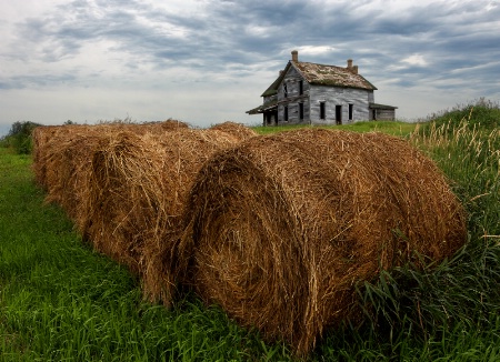 Farmland Fortress