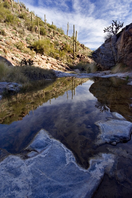 Desert Reflection - ID: 8650900 © Patricia A. Casey