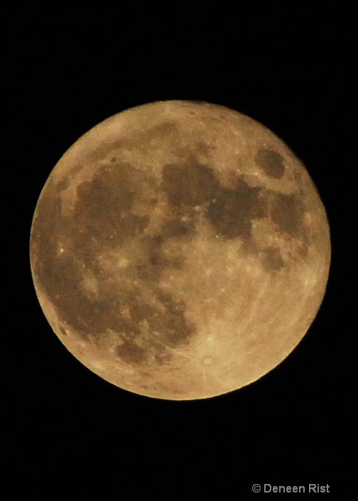 Full Moon at Midnight