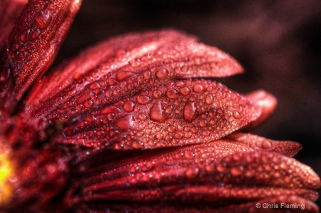 Soaking Red