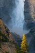 Upper Yosemite Fa...