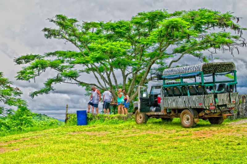 Jamaican Safari