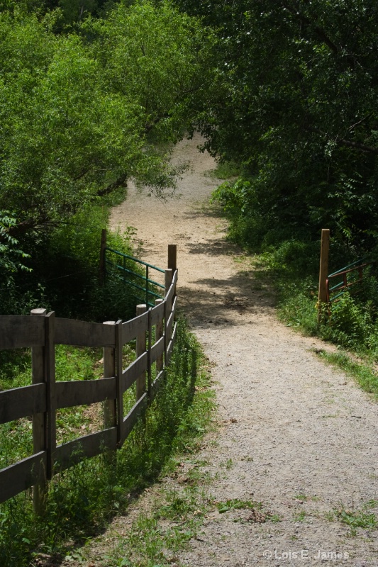 path to the barn