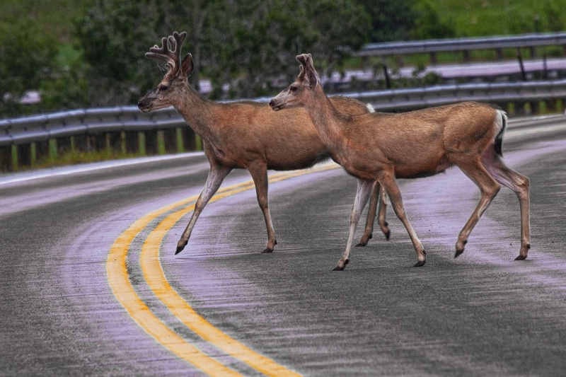 Crossing the Yellow Line 23.2