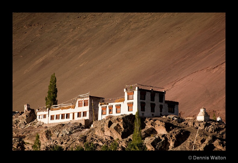 Alchi Village Houses II