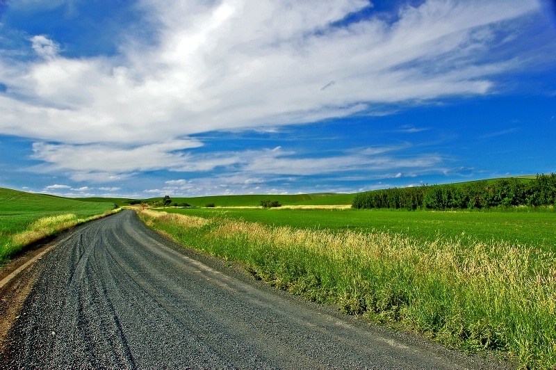 Road to the sky, Palouse Hills