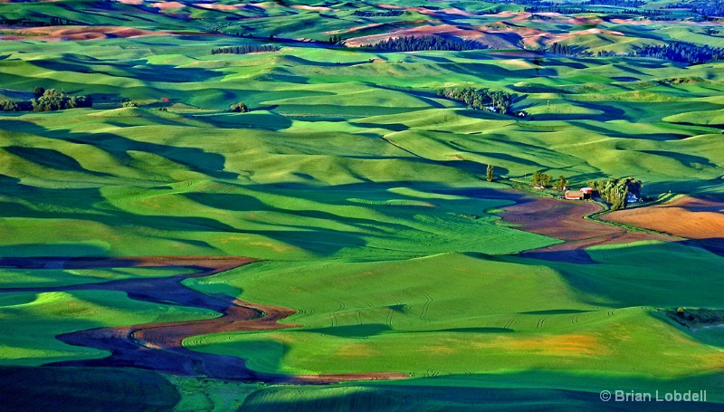 Palouse hills & farms from top Steptoe Butte