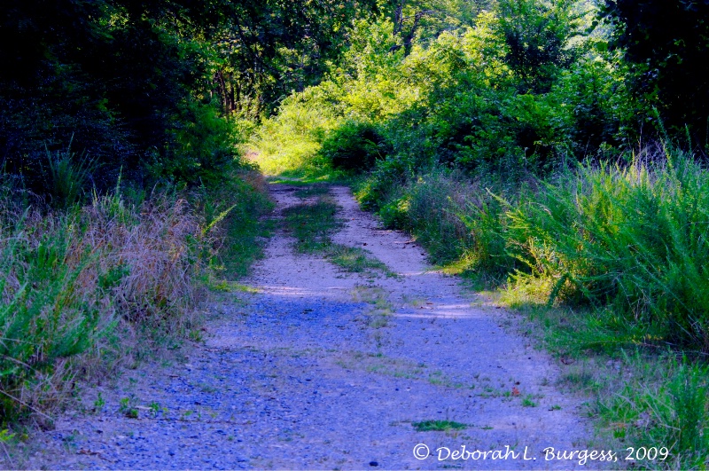 "The Old Country Dirt Road"