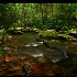© Steve Owen PhotoID # 8689235: Cool Mountain Stream