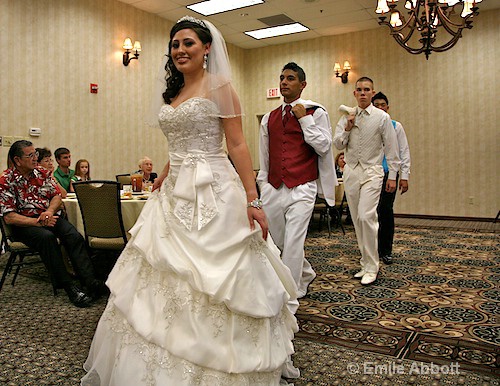 The Procession - ID: 8689973 © Emile Abbott