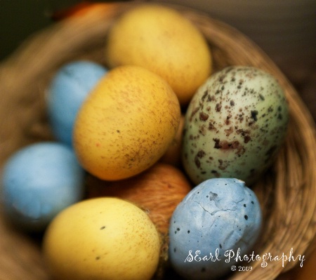 Eggs in a Basket - Lensbaby Photo