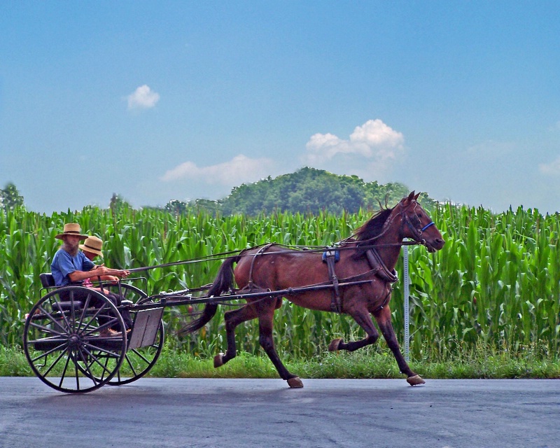 Out for a ride