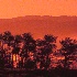 © Kurt Kettelhut PhotoID # 8696246: tetontreesunrise2