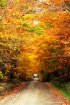 Country Road