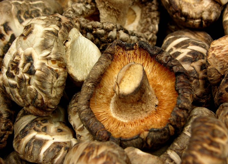 Market Mushrooms