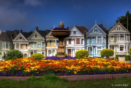 Painted Ladies of San Francisco