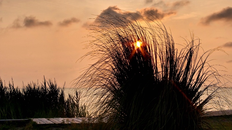 Sunset over Pimlico Sound