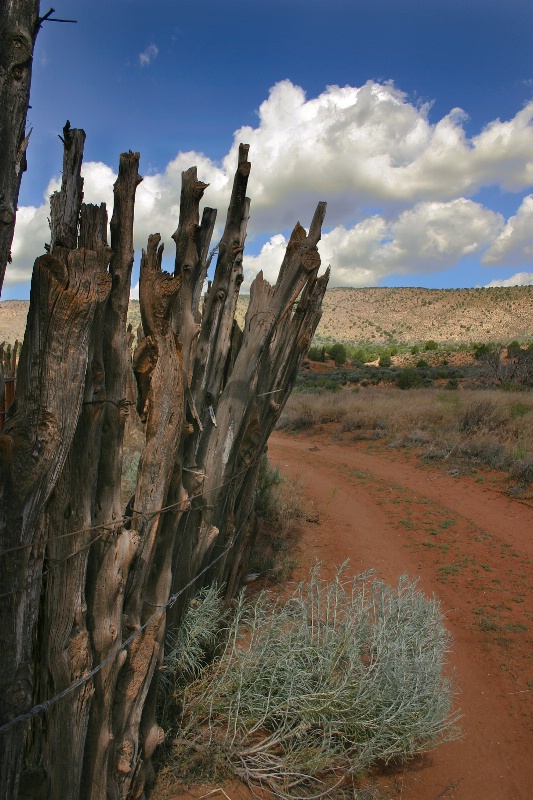 Old Corral Fence - ID: 8708911 © Patricia A. Casey