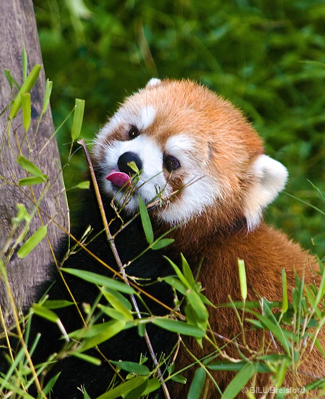 img20
