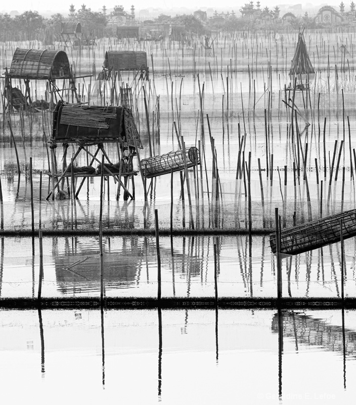 Fishtraps, Vietnam